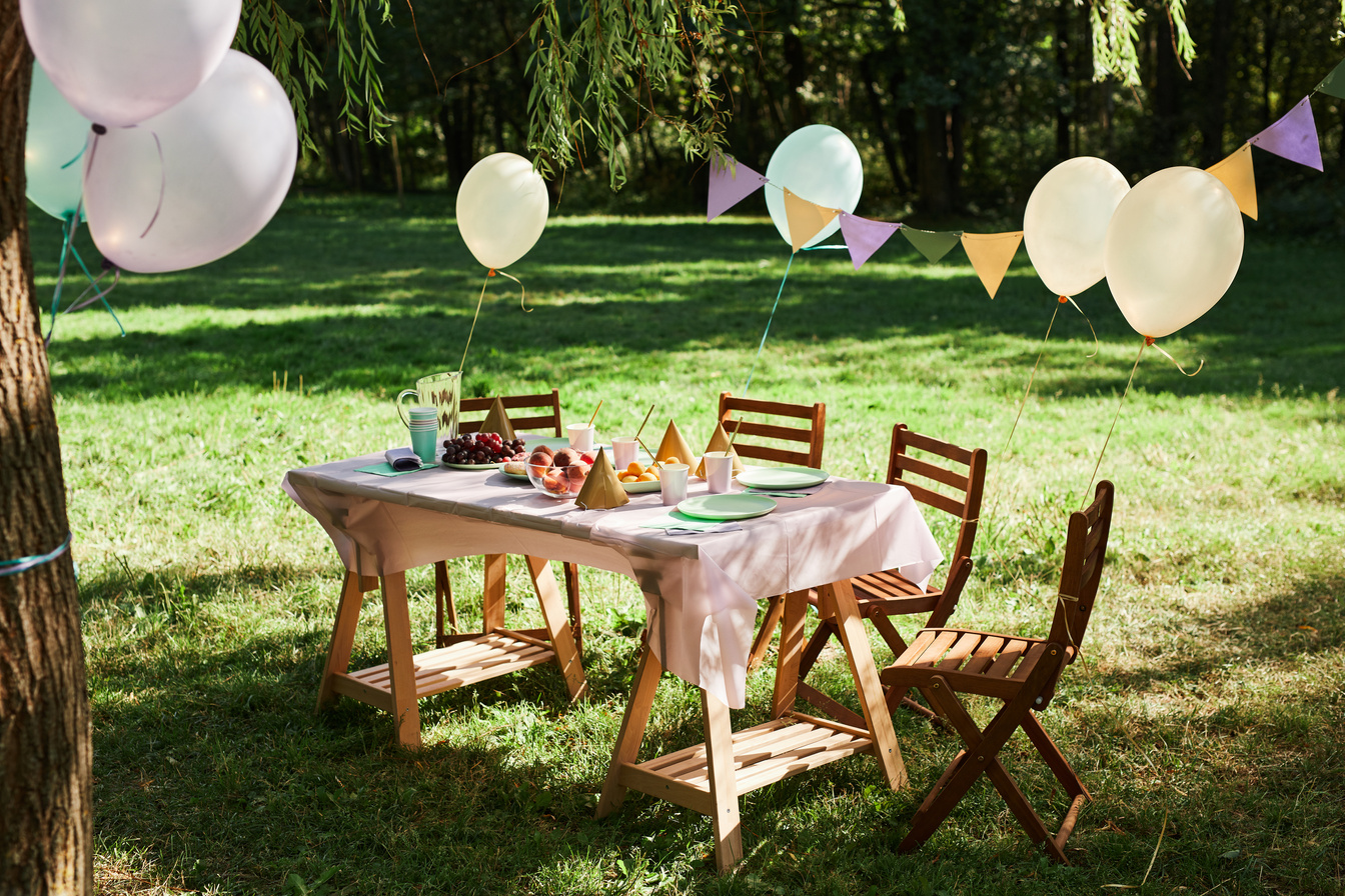 Birthday Party Picnic